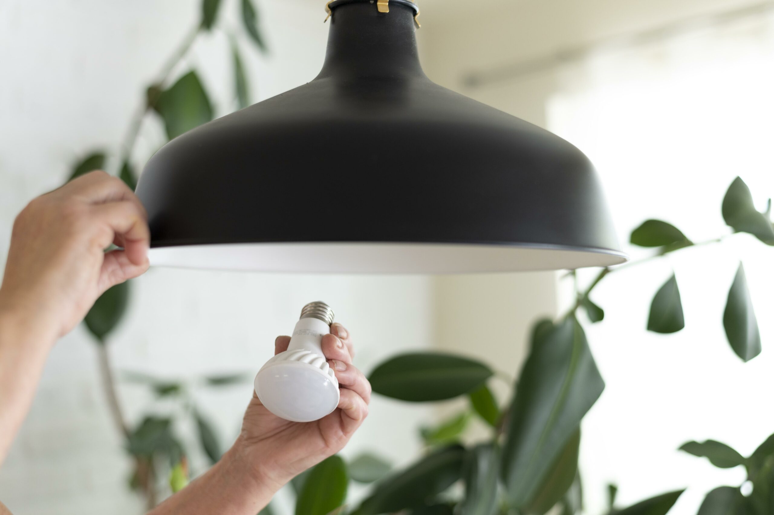 ¡Opta por bombillas LED para reducir el consumo eléctrico y ahorrar en tu factura de luz!